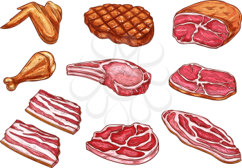 Butchery meat and delicatessen sketch color icons. Vector isolated set of beefsteak grill or bbq pork brisket and chicken leg or wing, gourmet beef filet and lamb sirloin or tenderloin for barbecue
