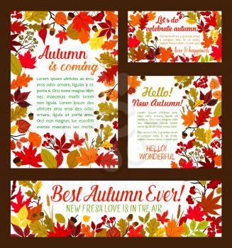 Autumn is coming posters or banners templates set for seasonal holiday or greeting card vector design. Autumn rowan berry harvest, leaf foliage of oak acorn, chestnut or elm and maple leaf