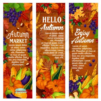 Hello Autumn banners for seasonal farm market festival. Vector set of pumpkin, rowan berry fruit and mushroom harvest, maple and chestnut leaf foliage, oak acorn or corn and grape on wood background