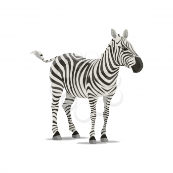 Zebra animal icon. Vector isolated zoology flat design of zebra horse or equid species of African savanna for wildlife fauna and and nature zoo or sport team badge