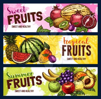 Fruits sketch banners of garden and tropical fruit harvest. Vector fresh pineapple, watermelon or exotic banana and apple, plum or pear and grape, lemon and citrus orange or apricot