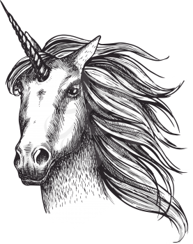 Unicorn mystic fairy horse head sketch icon of with magic horn. Vector unicorn horse muzzle with waving mane for equine sport or equestrian races and contest exhibition design