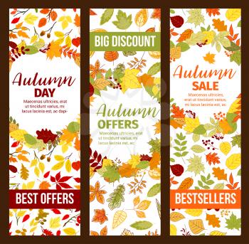 Autumn sale banners set for fall discount promo. Vector seasonal shopping bestsellers offer design of maple or chestnut and poplar leaf pattern, oak acorn or rowan berry and autumn birch foliage