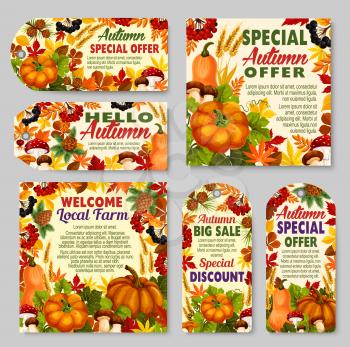 Autumn sale discount offer or farm market price off promo tag and poster for shop. Pumpkin or rowan berry, mushroom or maple leaf and oak acorn, fir pine cone for seasonal autumn shopping. Vector set