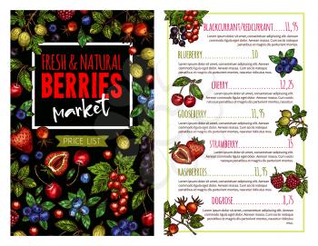 Berry and fruit banner of farm market price list template. Strawberry, cherry and blueberry, raspberry, gooseberry and wild briar, blackcurrant and redcurrant fruit branch and green leaf sketch poster
