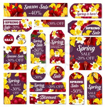 Spring sale posters and banners of flowers for seasonal shopping discount or promo offer. Vector store tags and cards design of blooming daffodil narcissus, callas and hibiscus bouquets