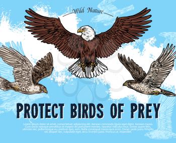 Protect birds of prey sketch poster for wild nature and environment protection. Vector design for save rarity predatory or raptor birds of eagle vulture, falcon or hawk flying in sky