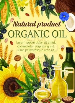 Natural cooking oil from plant seeds and nuts for vegetable nutrition. Vector cooking oil and butter from coconut, peanut or hazelnut, extra virgin olive and sunflower with flax and corn