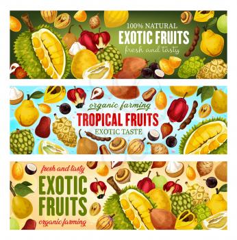 Exotic fruits and tropical berries vector banners design. Asian durian, pomelo and kumquat, sweetsop, quince and santol, tamarind, marula and ackee, morinda, salak and jabuticaba. Food and drink theme