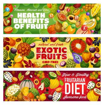 Tropical fruits of fruitarian diet, exotic berries and raw vegetarian food health benefits. Vector cantaloupe, sweetsop and cherimoya, persimmon, pomelo and apple cashew, dates, soursop and bergamot