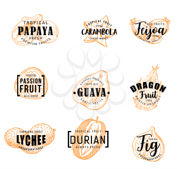 Exotic fruits lettering of tropical berries sketches. Papaya, feijoa and fig, durian, passion and dragon fruits, guava, lychee and carambola vector icons. Food and natural juice drink label design