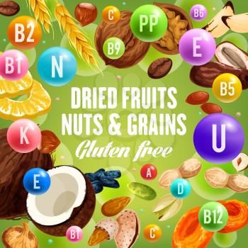 Nuts and grains, dried fruits and gluten free food. Vector vitamin complex and dietary nutrition or healthy food. Wheat and coconut, almond and hazelnut, walnut and fig, raisin and peanut, pistachio