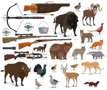 Hunt animals and hunter ammo equipment. Vector isolated hunting traps, rifle carbine and crossbow, bear or buffalo and wild duck or grouse birds with African safari cheetah and ermine