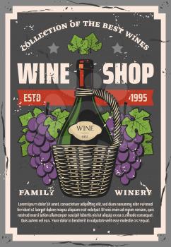 Wine shop, winemaking and winery. Vector bottle in basket, grape bunches, brut sort, vine and tasting process. Craft alcohol drink of natural fruits or berries. Grapery organic beverage