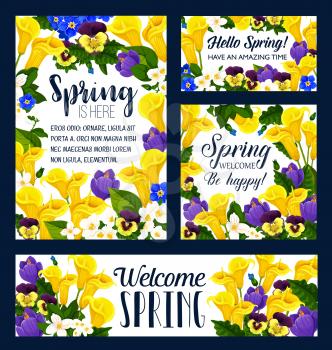 Spring Season flower bouquet greeting card and banner template. Crocus, pansy and calla lily, blooming branch of jasmine, green leaf and garden plant frame for Springtime Holiday themes design