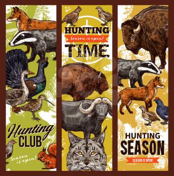 Hunting sport club, animals and birds. Vector wildlife trophies, prey badgers, buffalo and fox, wild goat and woodcock, grouse and elk. Savannah predators, ducks and pheasant, squirrel
