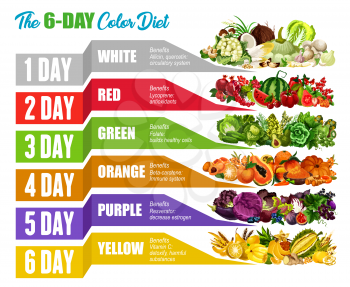 Weight loss color diet poster of natural food for everyday. Vector vegetable, fruit and nut, mushroom, cereal and green salad leaf poster. Healthy eating, dieting and vegetarian nutrition