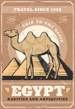 Egypt travel and tourist trips poster. Vector vintage design of ancient Egyptian culture symbols, camel at oasis and Pyramids in Cairo