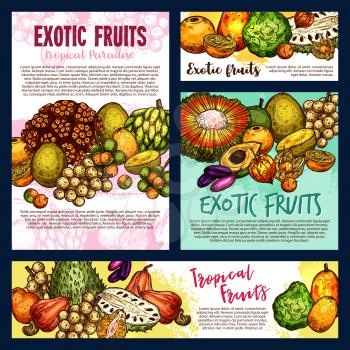 Exotic tropical fruits, farm market design. Vector tangerine citrus, pandan or pandanus, physalis with longkong or soursop, bergamot and cashew, jambolan, naranjilla or jambolan and bergamot fruit