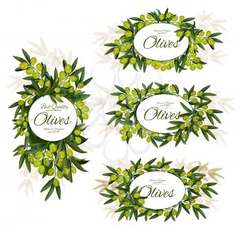 Green olives branches banners. Vector olive fruits with leaf, organic natural olive oil farm product or pickled marinated food package, premium quality vegetables