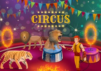 Circus animal show with performance of lion and tiger tamer, vector design. Trainer and wild cats performing tricks with fire rings on top tent arena, decorated with flags and lights