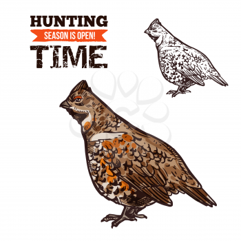 Grouse bird vector sketch. Hunter trophy wild bird, hazel grouse, hunting open season time