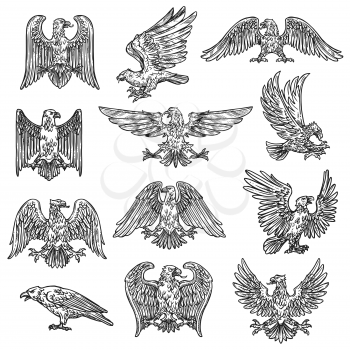 Eeagles herladic sketch icons. Vector gothic heraldry bird design, coat of arms and royal shield symbol or tattoo eagle fly with spread wings and claws