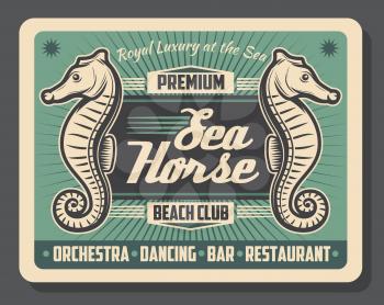 Beach club sea horse animal retro vector poster. Underwater creature on cafe or bar vintage design of seafood restaurant with seahorse fish. Tropical theme banner, entertainment and amusement