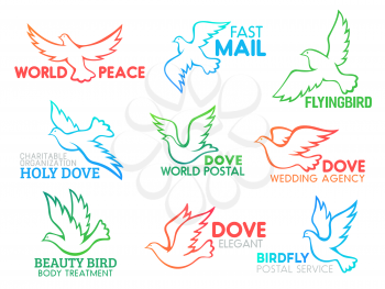 Dove bird icon set for business company design. Vector line symbol of dove pigeon flying with spread wings for post delivery, wedding agency or beauty spa treatment salon and peace or charity