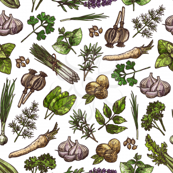 Spices and herbs vector seamless pattern background with vegetable seasonings and food condiments. Parsley, garlic and dill, nutmeg, rosemary and thyme, basil, mint and green onion, celery and poppy