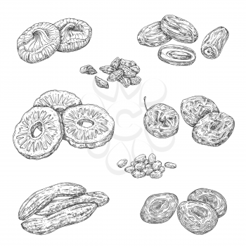 Dried fruits and candied berries isolated sketches. Vector monochrome pineapple and banana, damson fruit and figs. Raisins and prunes, apricots, date, nuts and cherry snacks, natural healthy food
