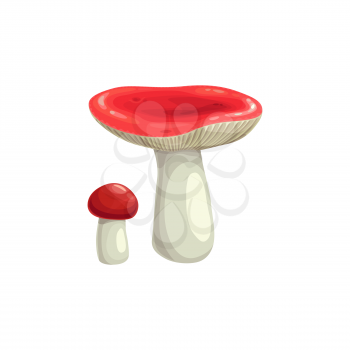Mushroom autumn icon, fall harvest and forest food, vector isolated icon. Russula or woolly milkcap mushroom with pink red cap, Thanksgiving autumn harvest and edible boletus, cooking ingredient