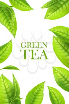 Green tea leaves, organic herbal background. Vector frame for beverage advertising with 3d green leaves. Realistic poster design template with macro leaves border, fresh plant for natural aroma drink