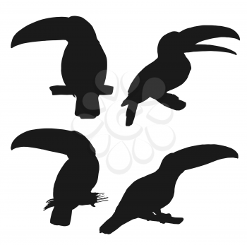 Toucan black silhouettes with vector birds of tropical jungle and Brazilian or Amazonian rainforest. South American wild animals sitting on tree branch, wildlife themes