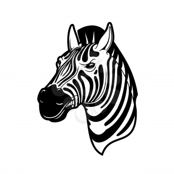 Zebra animal icon of African safari, zoo and hunting sport vector design. Head of wild horse or equid with black and white stripes, angry face and mohawk crest mane