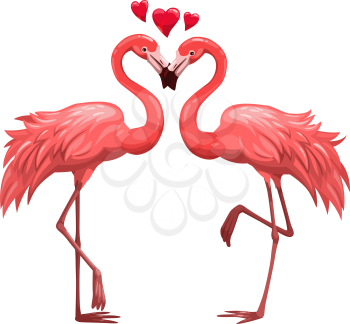 Pair of flamingos isolated birds. Vector pink flamingo in love, Valentines day animals couple