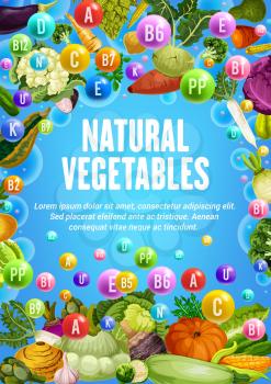 Natural vegetables, organic vegetarian farm veggies food. Vector healthy vitamins in tomato, carrot or corn and cabbage, vegan cucumber, onion and potato, eggplant, cauliflower and broccoli vegetable