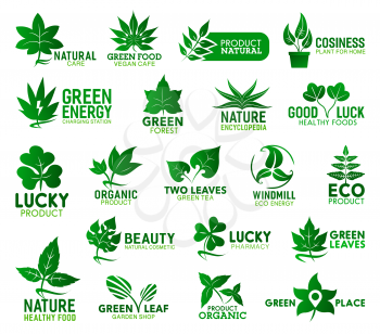Green leaf vector icons of ecology, nature, health and organic products. Fresh leaves of eco and bio plants, tree branches and flower sprouts of birch, nettle and mint, clover, tropical palm and maple