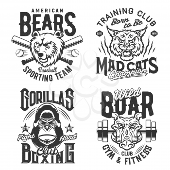 Sport gym and fitness club t shirt prints and quotes, vector icons. Amercian baseball sport team bear mascot, boxing and fight club gorilla, wild boar with gym barbell and lynx of champion training