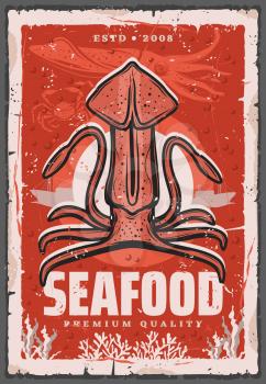 Squid fishing, seafood and fish gourmet restaurant retro poster. Vector ocean and sea fishery industry, seafood squid, chef delicatessen food