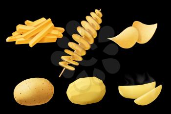 Potato vegetable dishes vector design, food. Raw whole and peeled potato tubes, boiled or baked slices with steam, french fries, salty chips and fried swirls of tornado potato on wooden skewer