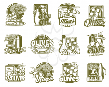 Green olive vector badges with olive tree branches, oil bottles and jugs, jars, cans and bowl of marinated fruits. Farm food package labels and emblems