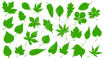 Tree green leaves isolated silhouette icons. Vector forest trees leaf of maple, rowan or chestnut and oak, elm or aspen and poplar, eco nature environment and flora symbols