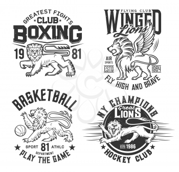 Lion animal t shirt prints for basketball, ice hockey and boxing sport club vector emblems. Heraldic lion with wings and claws, roaring, varsity basketball team league and aviation pilot club t-shirt