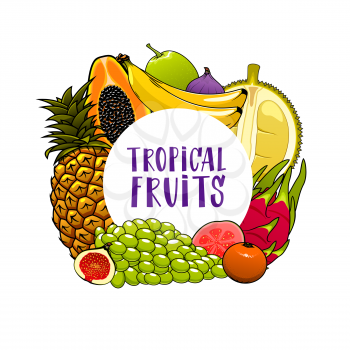 Tropical fruits isolated banner. Vector pineapple and grapes, banana and citrus tangerine, feijoa and fig. Papaya, starfruit and lychee, passionfruit and guava, tropical farm grocery fruits harvest