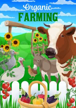 Animal and vegetable farm vector design of agriculture and farming. Cow, farmer fields and chicken, garden trees, turkey and goose, duck, donkey and quail, crop plants, tomatoes and peppers in basket