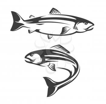 Salmon fish icon of seafood or sea fishing sport vector design. Atlantic, coho, chum or chinook, sockeye or pink salmon swimming and jumping, ocean and sea water animals isolated symbol