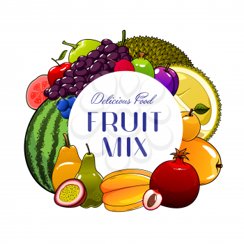 Fruits vector icon with berries of exotic, tropical and garden plants. Apple, mango and grapes, plum, pear and feijoa, apricot, durian and blueberry, watermelon, lychee, pomegranate and carambola