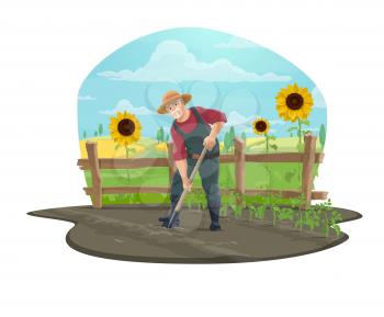 Farmer working on farm vector icon of agriculture design. Gardener digging soil with shovel or spade in vegetable garden, tomato seedlings, sunflowers, wooden fence and wheat fields