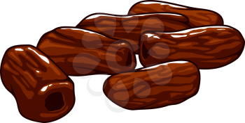 Damson fruit or date dried fruits isolated sketch. Vector sugared vegetarian food snack dessert